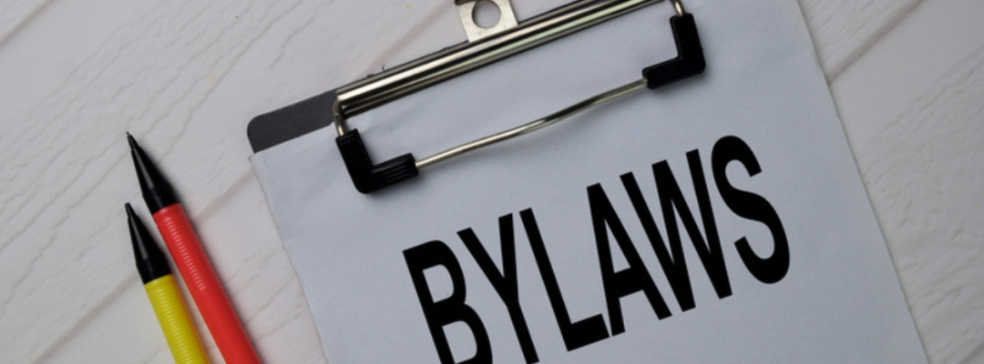 Bylaws small